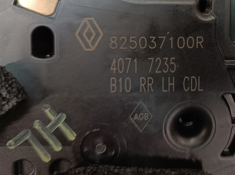 Renault Zoe 2022 Original Hinten Links Türschloss 40717235 gebraucht - 805037100R