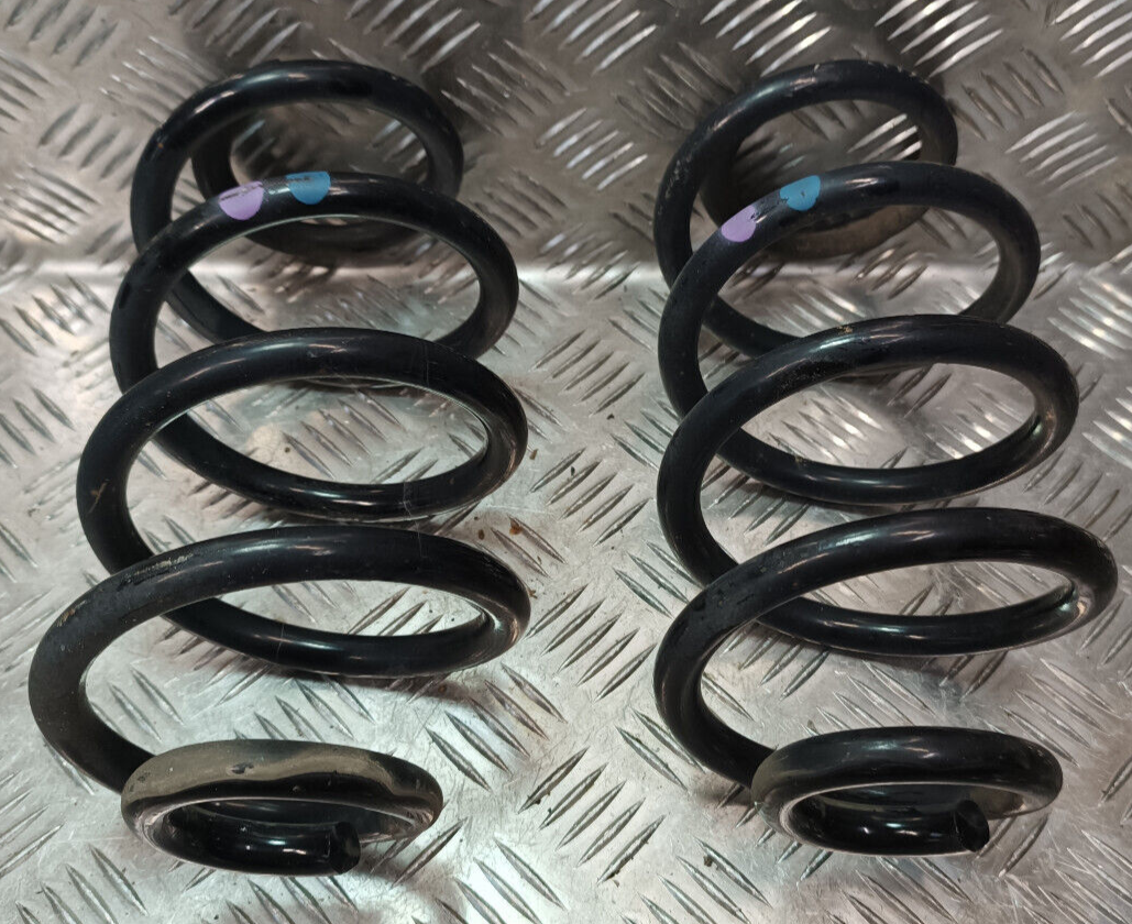 Renault Zoe 2022 Hintere Hinten Feder Spiralfeder gebraucht - Original