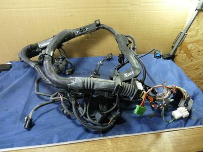 BMW X6 xDrive 30 D Motorkabelbaum N57D30A 3.0 D ORIGINAL gebraucht - 851186702