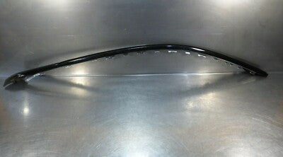 Porsche Panamera 970 Dichtung mit Chrome Zierleiste Tür vorne links 97053755501