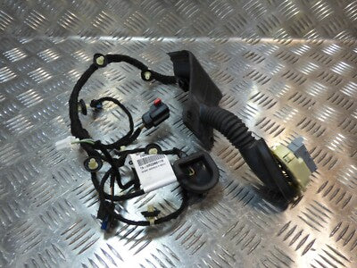 JEEP COMPASS II 2021 Original Tür Kabelbaum Hinten Links gebraucht - P68409207AB
