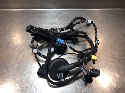 Audi A3 8V 8V1 Original DRIVERS SIDE FRONT DOOR WIRING LOOM 8V4971029H RHD !
