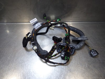 Porsche PANAMERA 970 Tür Kabelbaum Hinten Links ORIGINAL gebraucht - 97061263500