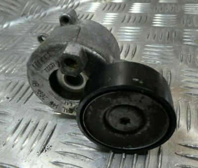 VW T6 2.0 TDI CXG Transporter 2017 Riemenspanner Spanner 04L145299B Spannelement