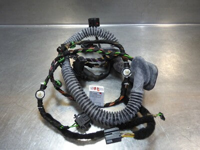 Porsche Panamera 970 Türkabelbaum Kabelbaum hinten links ORIGINAL gebraucht - 97061264100