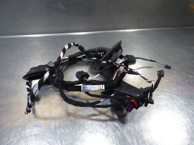 Original VW Passat CC  Türkabelbaum hinten links 3C8971693EC