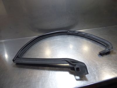 VW Passat CC 1.8 TSI, hinten links 3C8854545 / 3C8 854 545 ORIGINAL gebraucht - Fensterdichtung