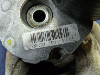 BMW X6 xDrive 30D Riemenspanner 780033304