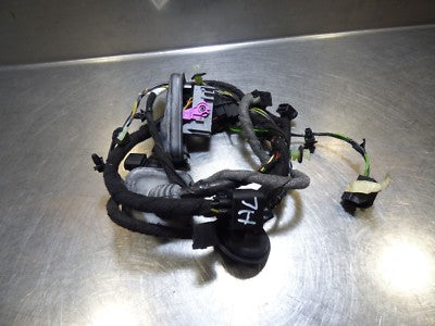 Opel Insignia 2.0 CDTI -.  Türkabelbäum hinten links 13238681