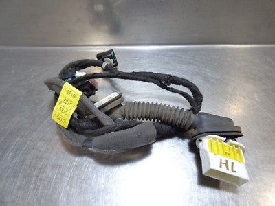 Opel Antara 2.2 CDTI  Türkabelbaum hinten links 20980139