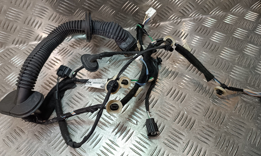Renault Zoe 2022 Kabelbaum Vorne Rechts ORIGINAL gebraucht - 241252468R