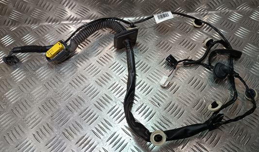 Renault Zoe 2022 Original Tür Kabelbaum gebraucht - 241260547R