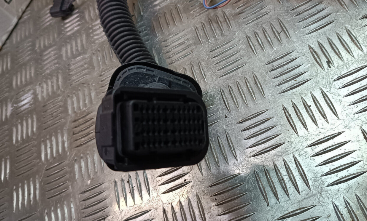 Renault Zoe 2022 Tür Kabelbaum Vorne Links ORIGINAL gebraucht - 241244564R