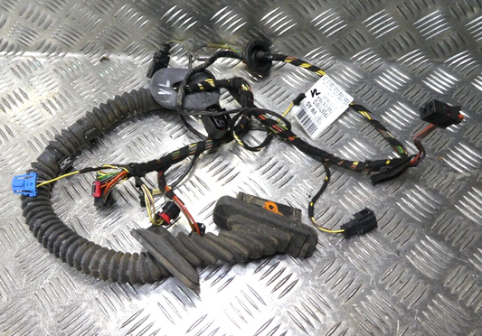Porsche Cayenne 92A Türkabelbaum Vorne Links 7P5971161D ORIGINAL gebraucht - Kabelbaum