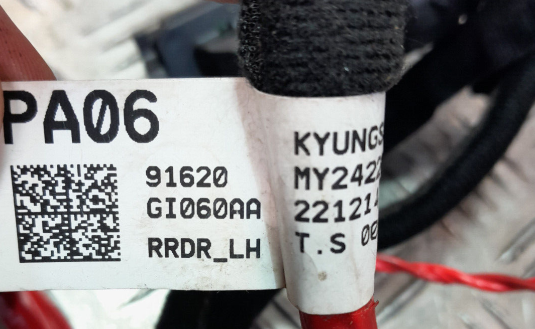 HYUNDAI IONIQ 5 Tür Hinten Links Türkabelbaum PA06 91620GI060AA ORIGINAL gebraucht - Kabelbaum