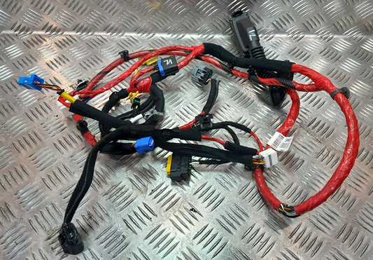 HYUNDAI IONIQ 5 Tür Vorne Links Türkabelbaum SM83 91600GI831 ORIGINAL gebraucht - Kabelbaum