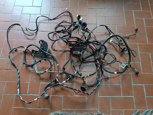 Renault Zoe 2022 Innere Elektrik Kabelbaum ORIGINAL gebraucht - 241638370S